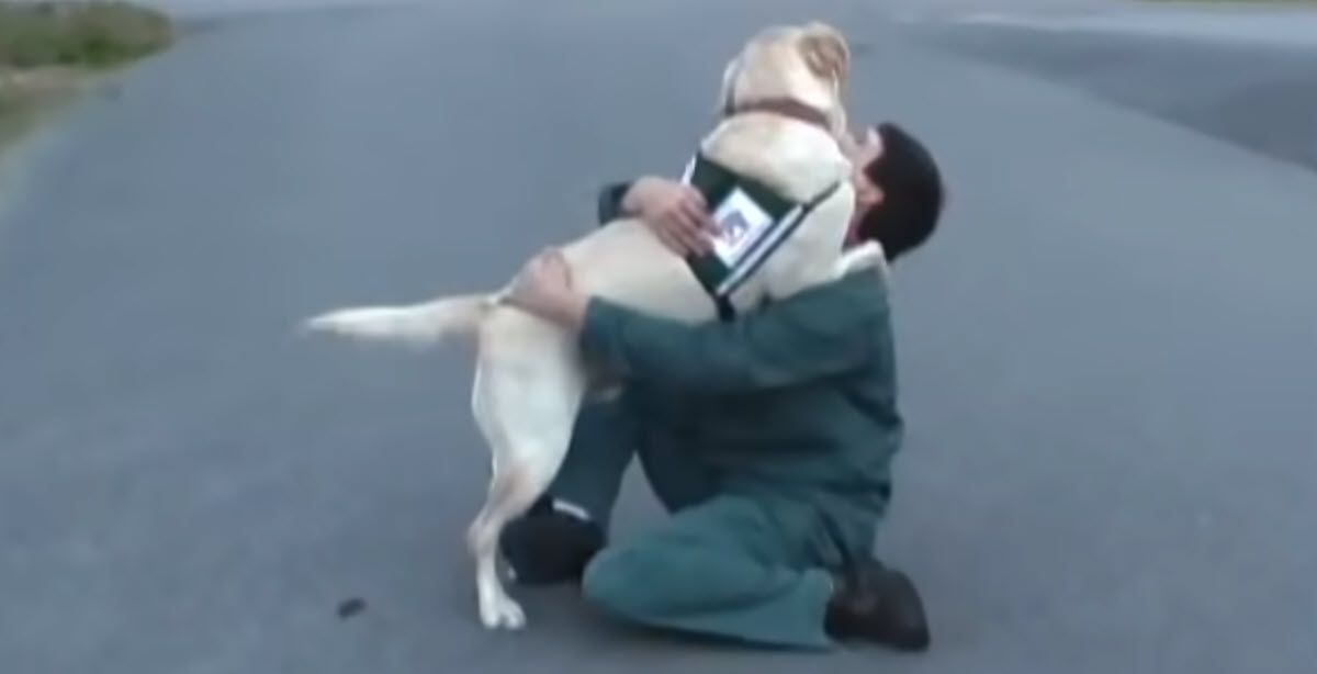Soldier Takes Service Dog to Visit the Prisoner Who Trained Him, Dog Runs to Inmate Happily
