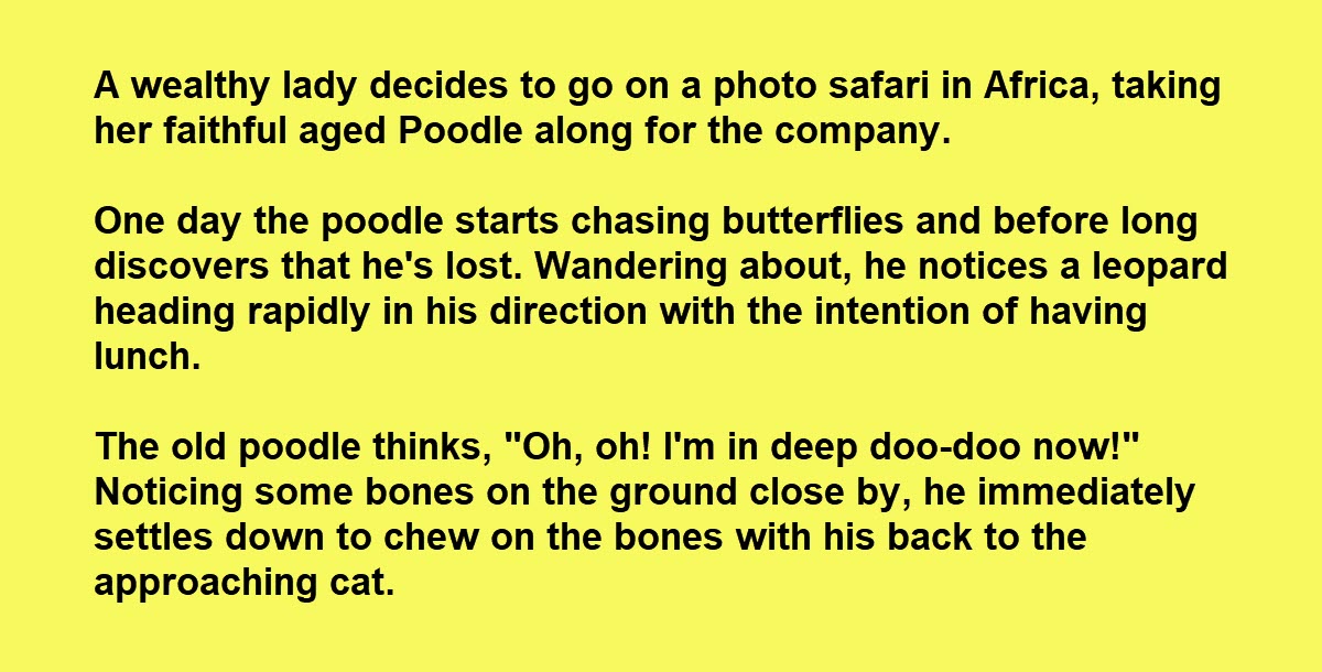 The Old Poodle Joke, or Why Not to Mess With Poodles