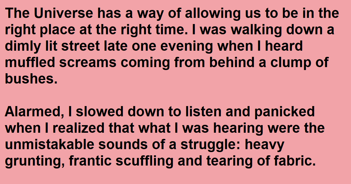 A Man Sees A Woman Getting Attacked And Learns Why It Was So Important To Step In And Do Something About It