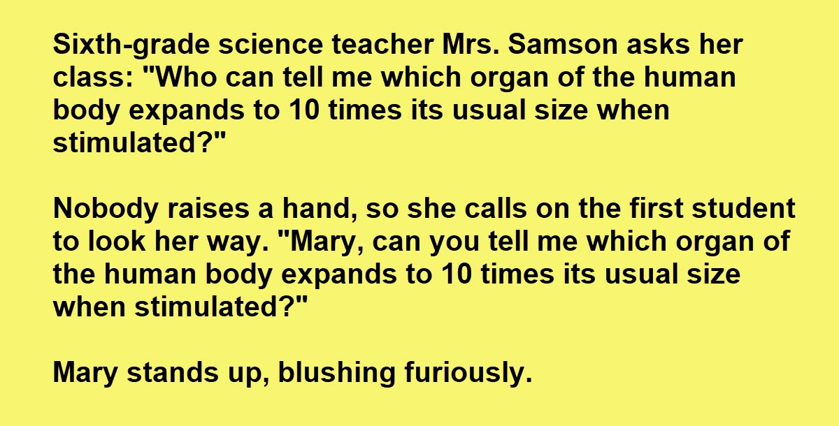 Little Girl Stuns Teacher with an Outburst, the Teacher Has the Best Response Ever