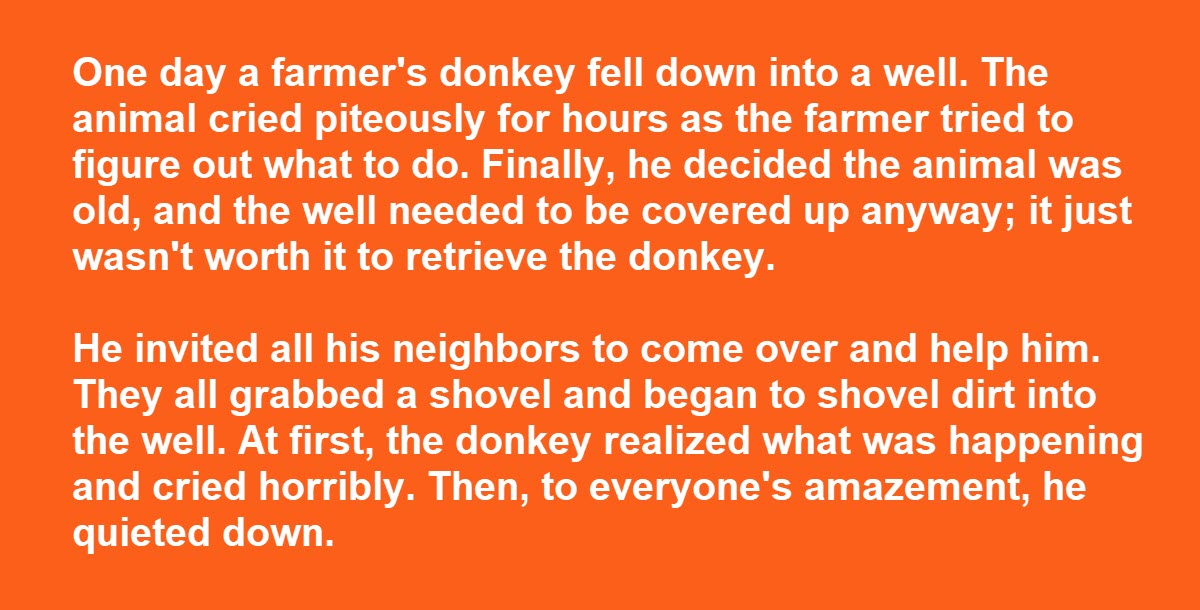 A Farmer Thought He Was Burying His Donkey, but the Donkey Had a Lesson for Him