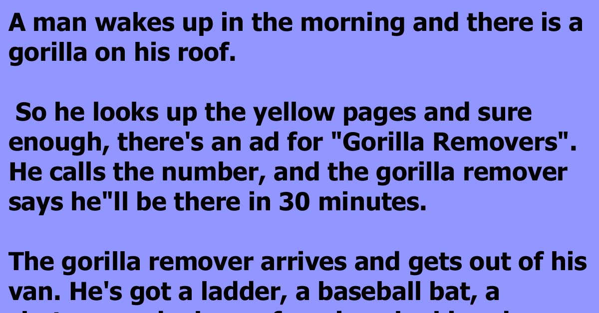 A Man Makes A Frantic Call When He Discovers A Gorilla On His Roof