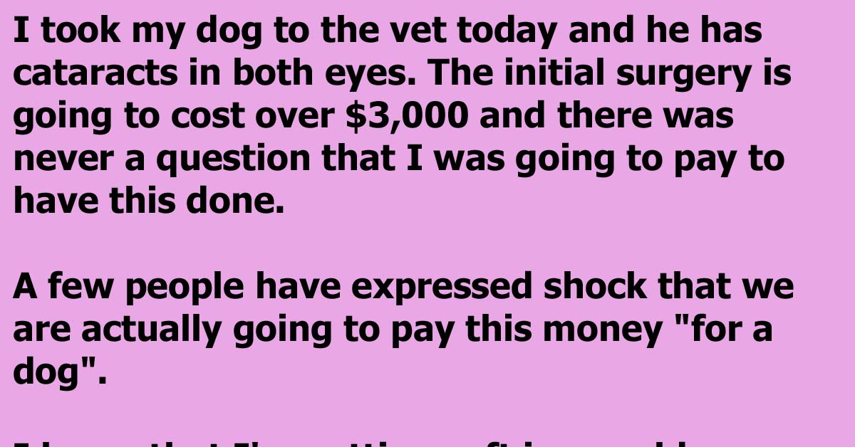 A Dog Owner Lovingly Expresses Why He ‘Paid So Much’ For Surgery On His Beloved Dog