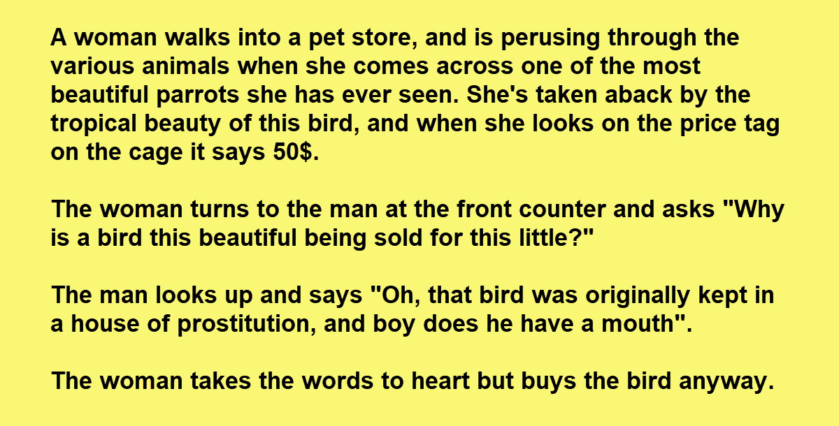 Woman Buys a Parrot Who Lived in a ‘House of Ill Repute’ and Quickly Regrets It