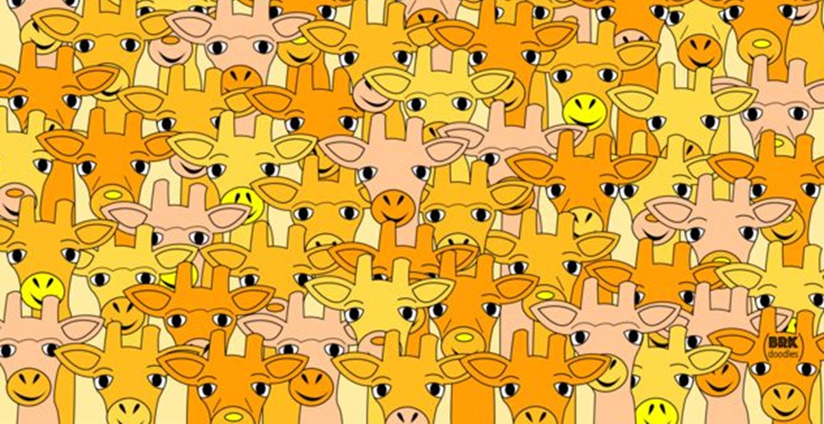 No One Can Find Yoda Hiding Among These Adorable Giraffes. Can You?