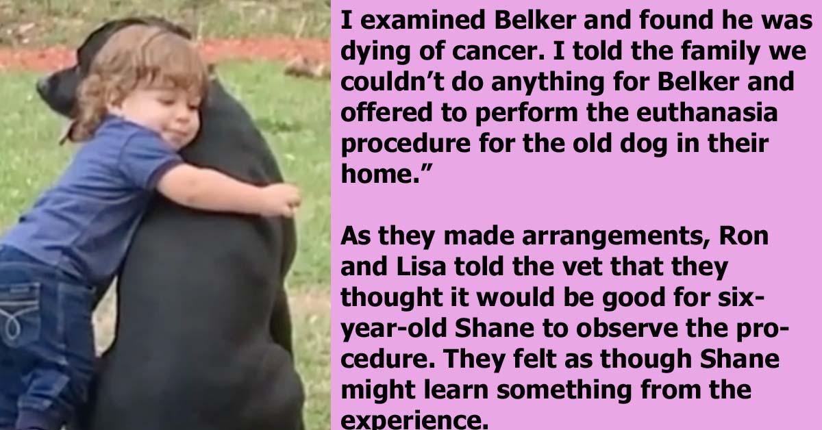 A Little Boy Makes Us Cry When Explaining Why Dogs Don’t Live As Long As Humans