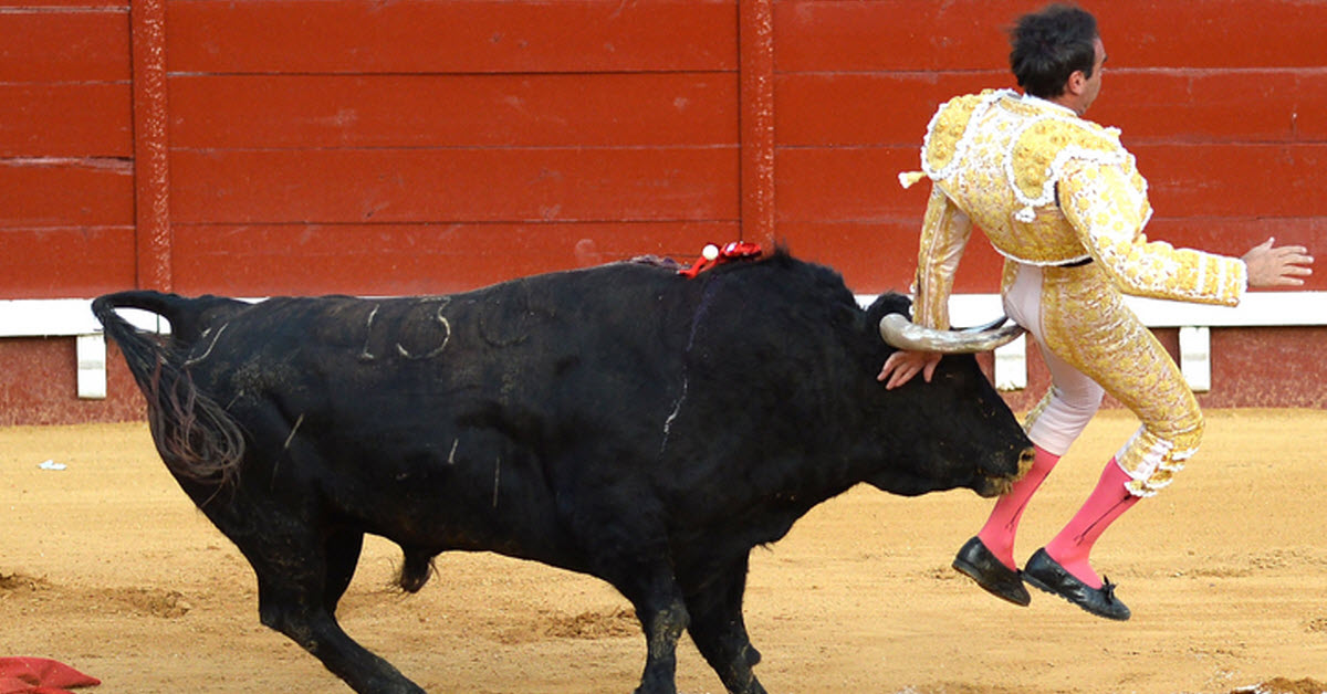 Matador Gets Stabbed In The Butt By A Bull Horn In A Post-Lockdown Event