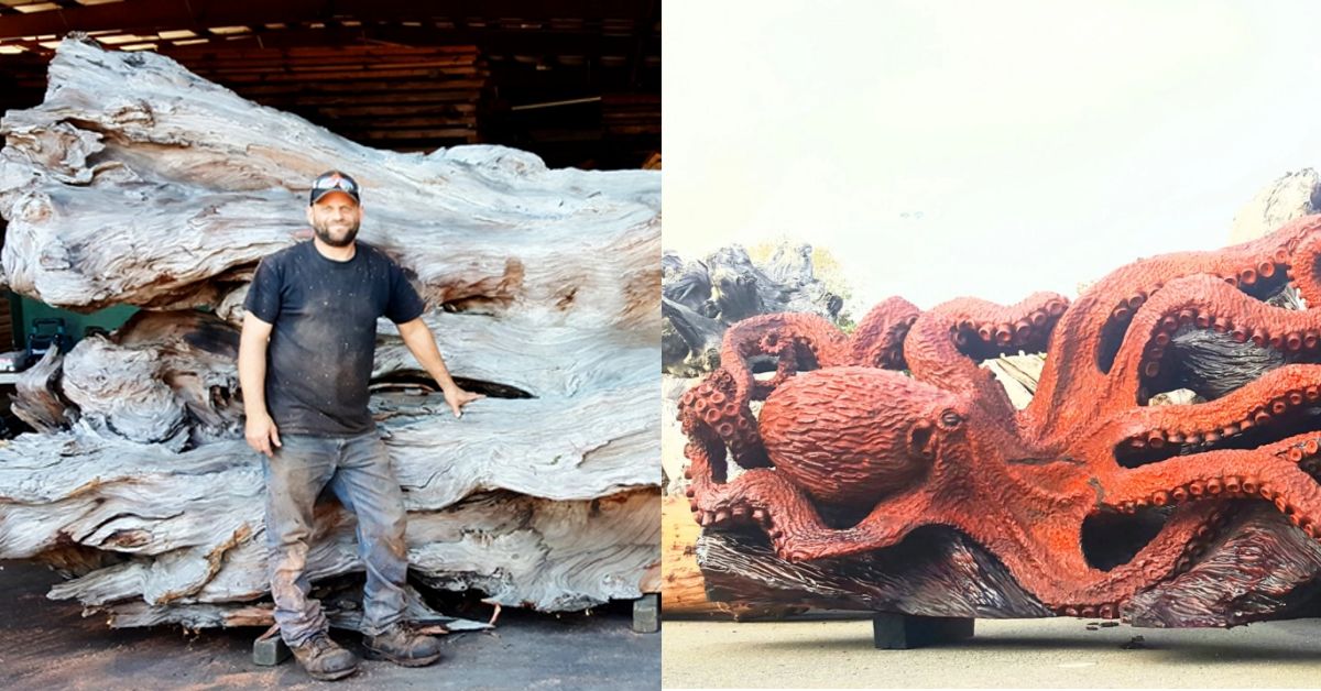 A Man Uses A Chain Saw To Turn A Fallen Redwood Into An Octopus