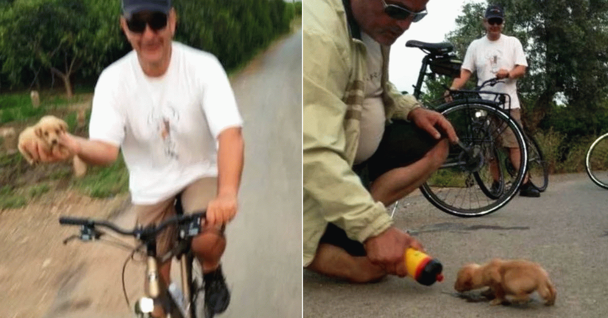 Man Finds Puppy And Gives Him A Bike Ride To His New Forever Home